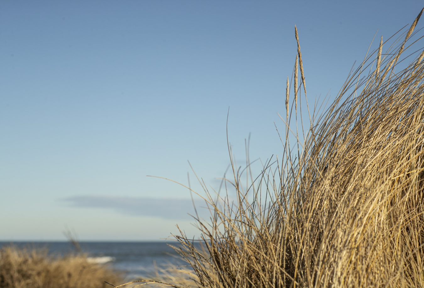 Et sommerhuskøkken inspireret af naturen 