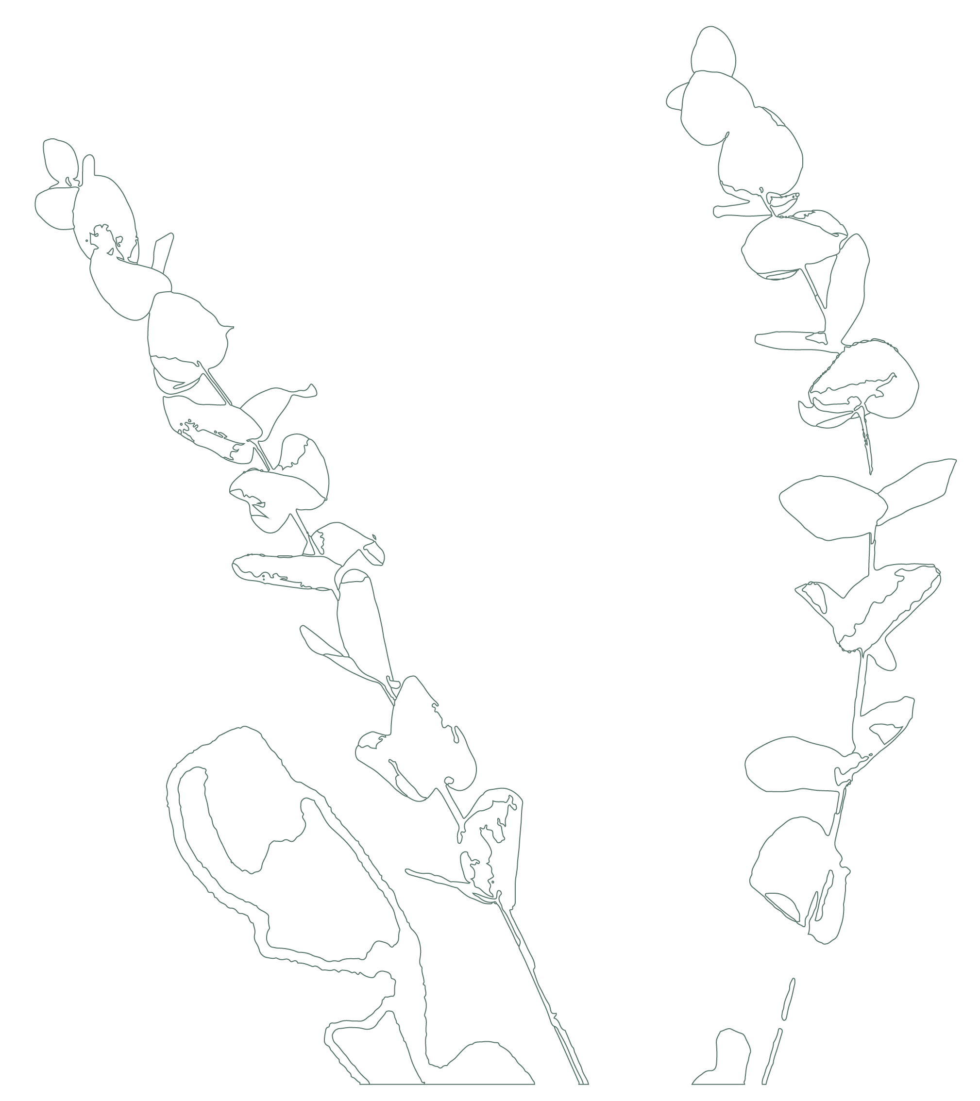 grafik af blomster