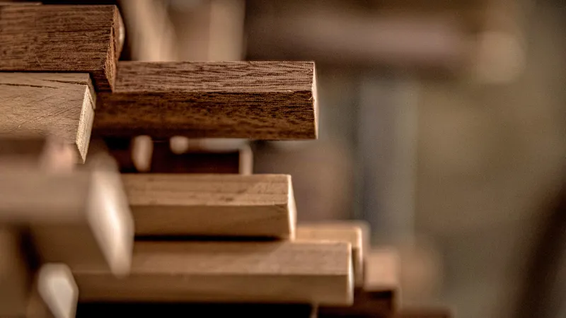 Woodmanship_træ.jpg