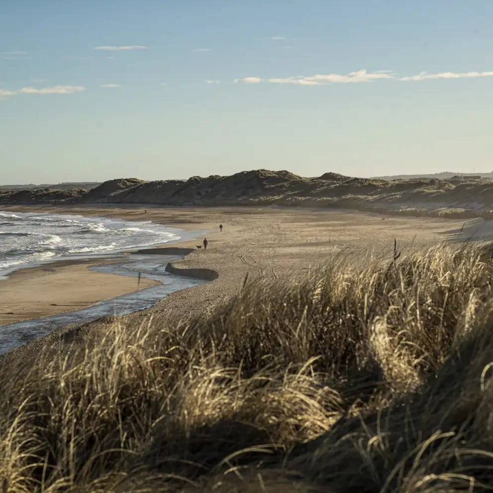 Sommerhuskøkken.strand.natur.jpg